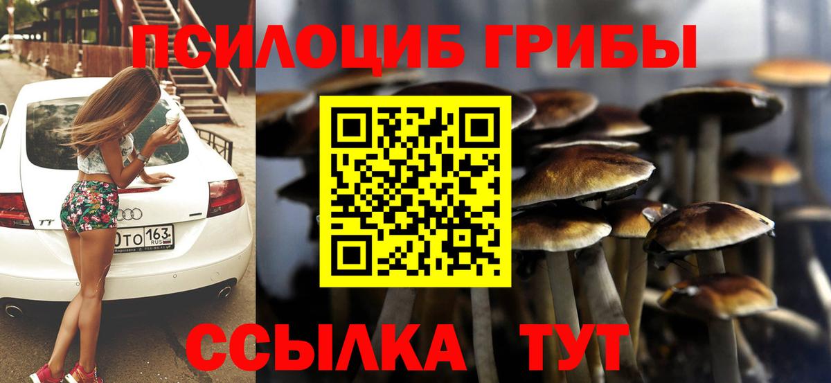 Галлюциногенные грибы GOLDEN TEACHER  цены наркотик  Балабаново  Вход с VPN 
